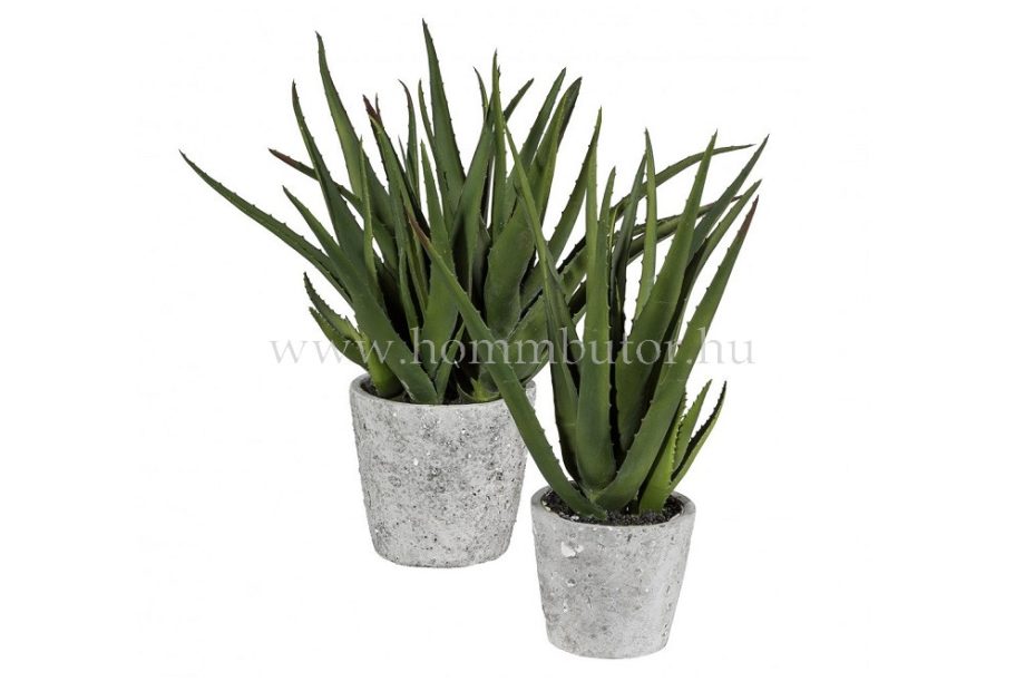 ALOE VERA élethű növénydekoráció