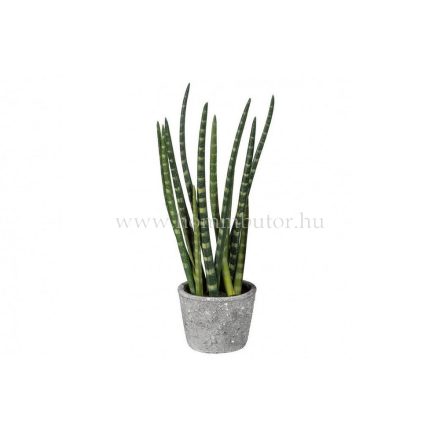 ALOE VERA élethű növénydekoráció