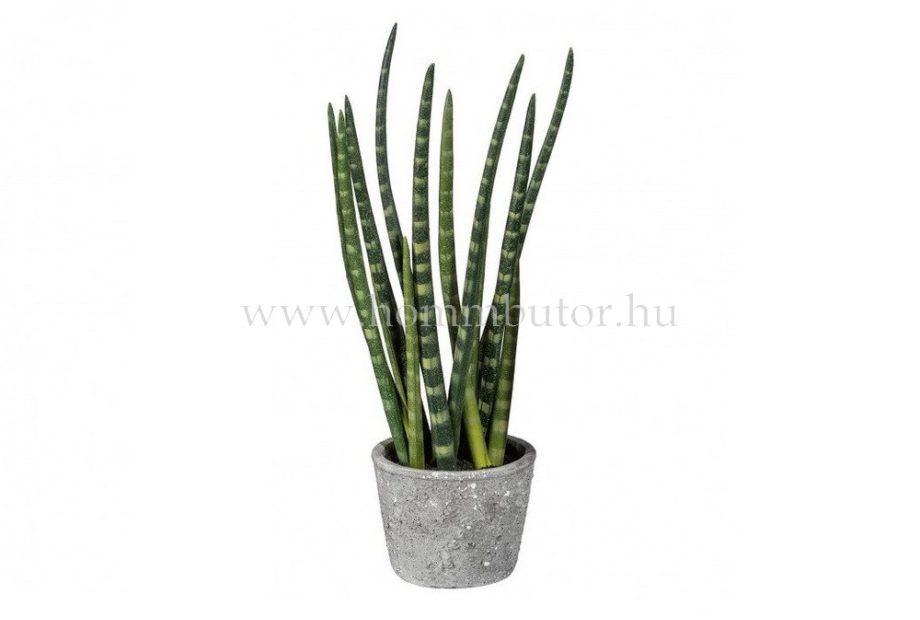 ALOE VERA élethű növénydekoráció