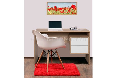 JOY íróasztal 118x61 cm
