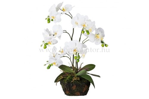 ORCHIDEA élethű növény dekoráció 60 cm magas