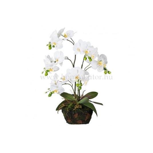 ORCHIDEA élethű növénydekoráció