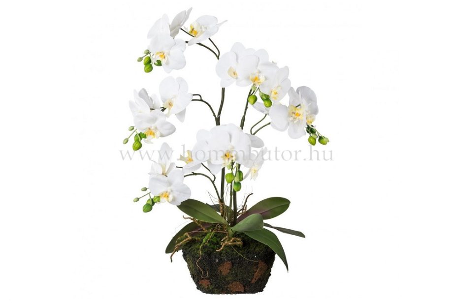 ORCHIDEA élethű növénydekoráció