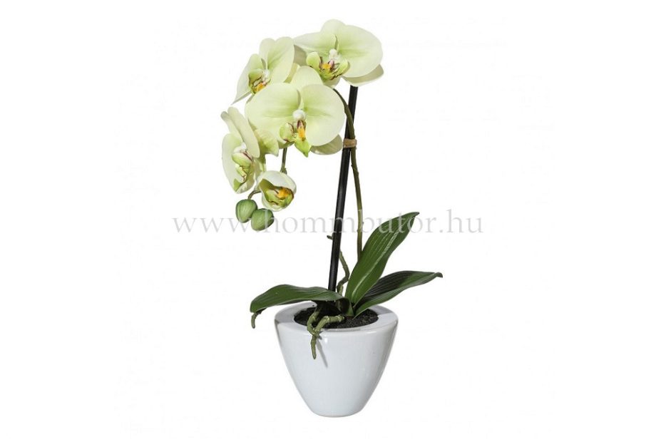 ORCHIDEA élethű növénydekoráció
