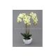 ORCHIDEA élethű növény dekoráció 51 cm magas