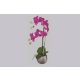ORCHIDEA élethű növény dekoráció 52 cm magas