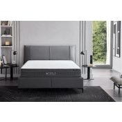 Tesla Sleep Power Matrac