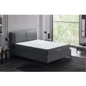 Tesla Sleep Power Matrac